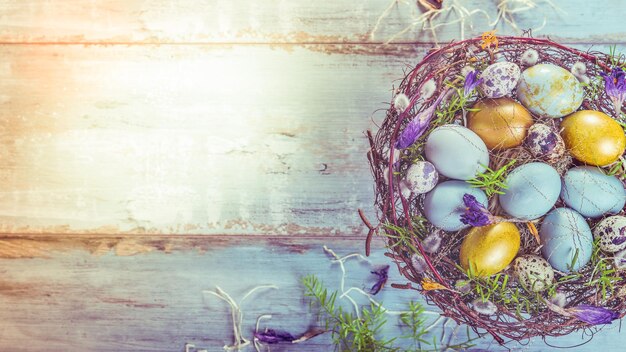 Fond de Pâques avec des oeufs de Pâques bleu et or saule et fleurs de printemps vue de dessus mise à plat avec espace de copie