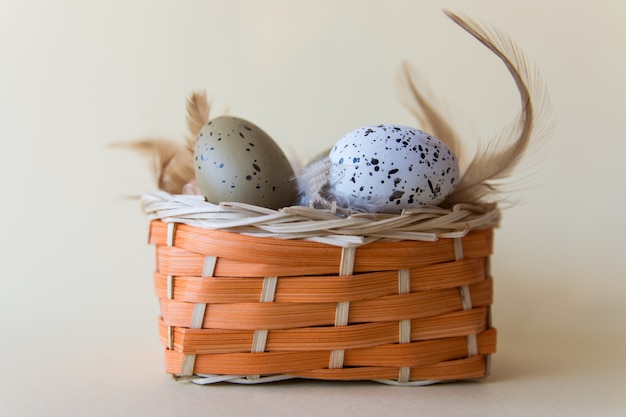 Fond de Pâques avec des œufs et des plumes dans un panier