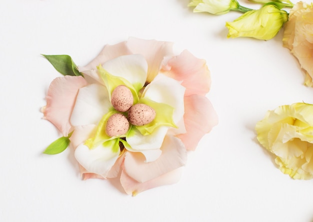 Fond de Pâques avec de petits oeufs et des fleurs en pastel sur le blanc