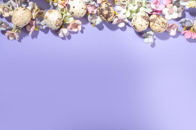 Fond de Pâques de printemps avec de petits oeufs de Pâques décoration fleurs de printemps sur fond de couleur violet très péri cadre flatlay