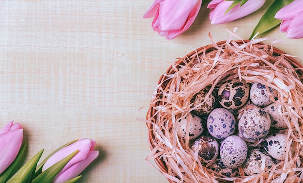 Fond de Pâques tulipes roses sur table en bois nid d'oeufs de caille