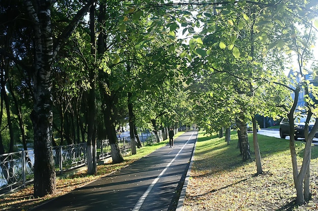 fond de parc d'été / feuilles vertes d'arbres de nature, vue d'été de fond abstrait