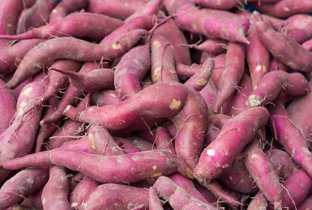 Fond de patate douce