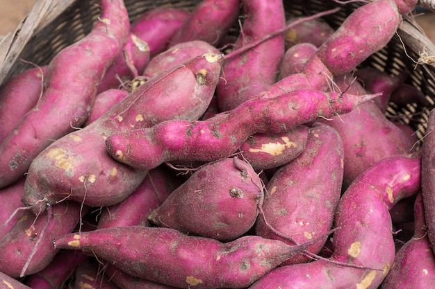 Fond de patate douce