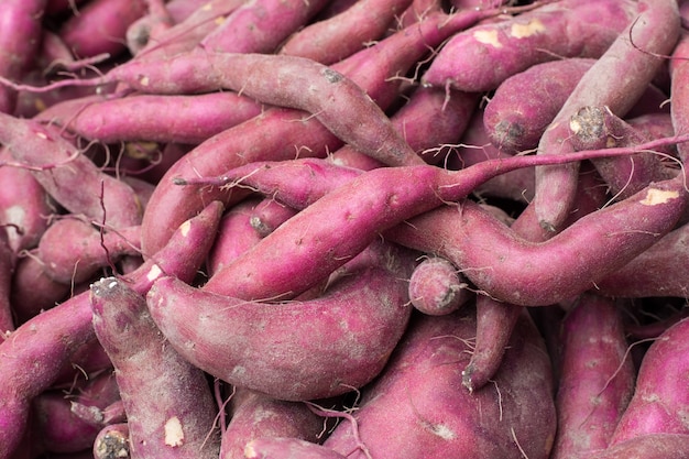 fond de patate douce