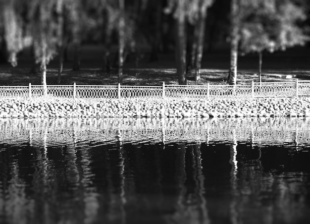 Fond de paysage horizontal noir et blanc hd