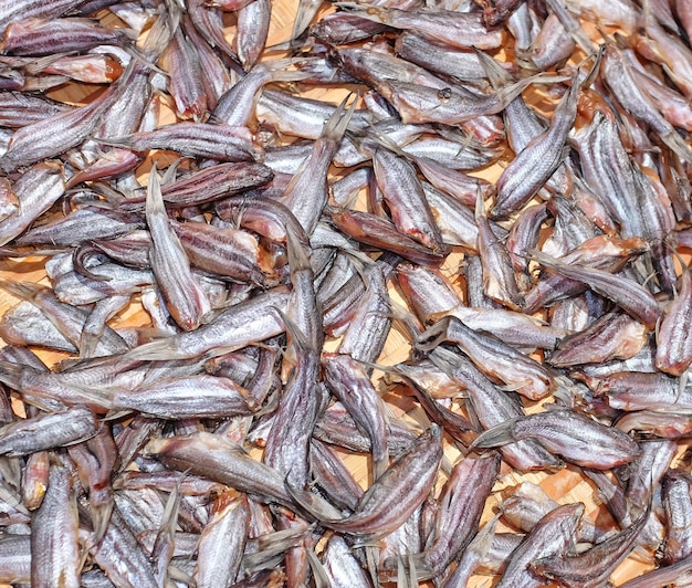 Fond de petits poissons séchés au soleil