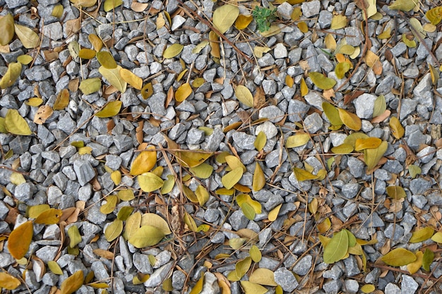 Fond de pierre mélangé avec des feuilles