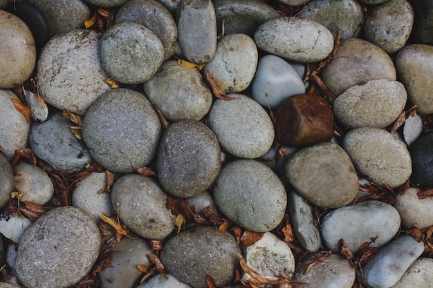 Fond de pierres de mer avec vue de dessus de feuilles d'automne