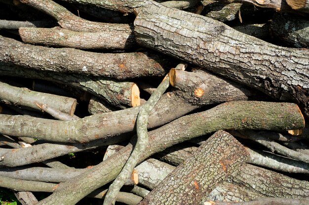 Fond de pile de bois