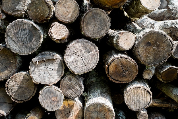 Fond De Pile De Bois