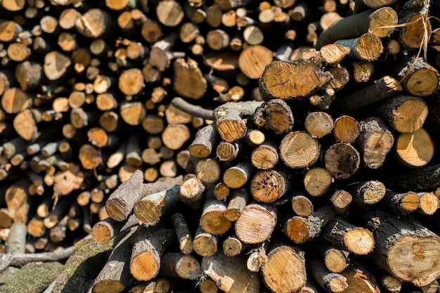 Fond de pile de bois