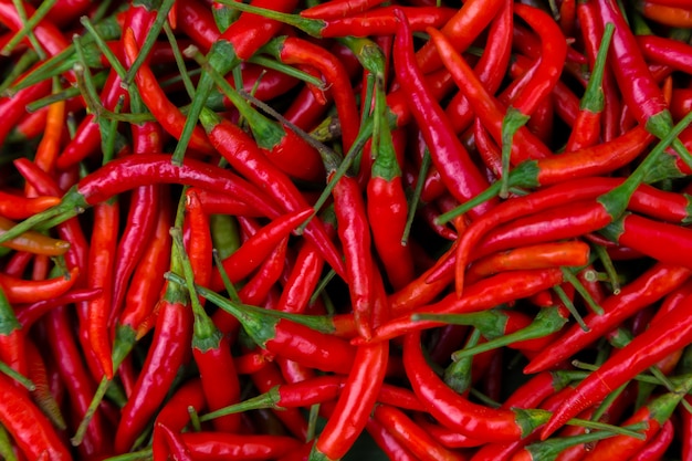 Fond de piments rouges