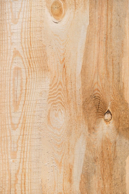 Fond de pin écologique de texture en bois