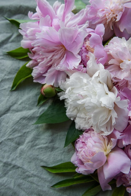 Fond avec pivoines roses