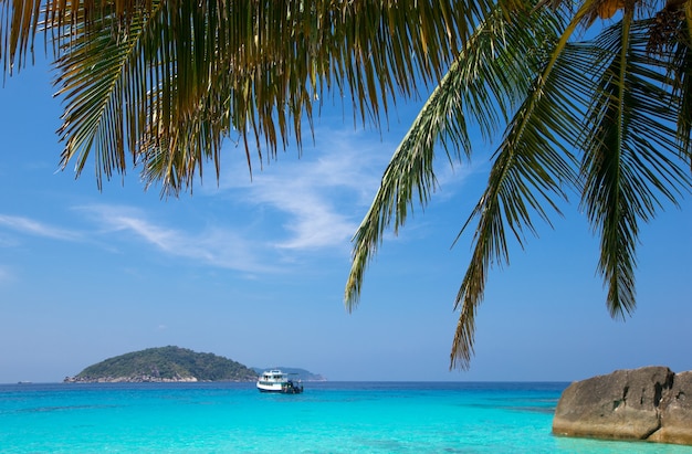 Fond de plage et mer tropicale