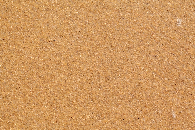 Fond de plage de sable humide texturée