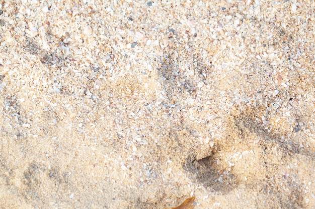 Fond de plage de sable humide texturée