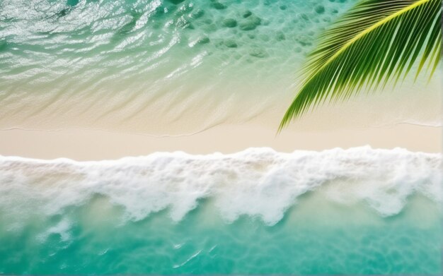 Fond de plage tropicale avec des vagues de mer sable blanc et mousse vacances d'été vue panoramique du haut ba