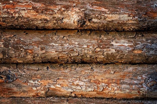 fond de planche de bois