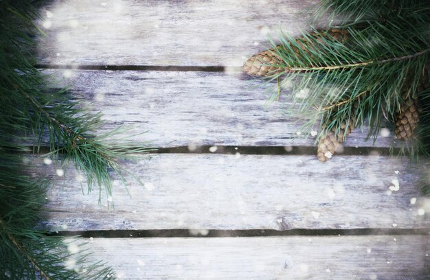 Fond de planches de bois décorées de branches de pins dans la neige