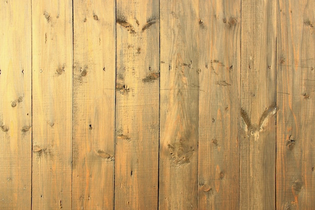 sur le fond des planches de la clôture en bois gris