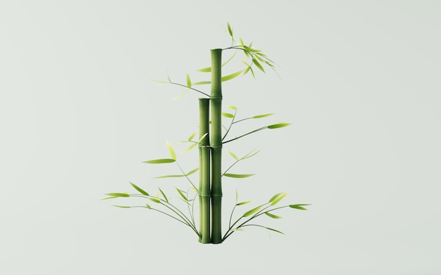 Fond de plante de bambou naturel vert rendu en 3D