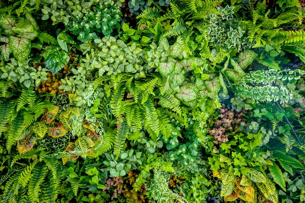 Fond de plante en plastique sur le mur, jardin vertical