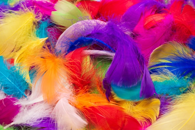 Fond de plumes colorées