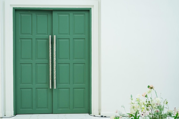 Fond de porte en bois vert