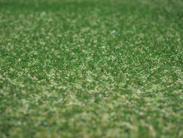 Fond de pré de gazon synthétique vert