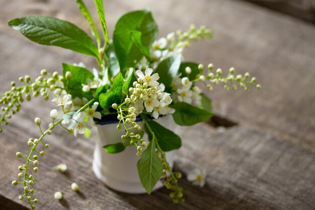 Fond de printemps. Belles fleurs blanches fraîches de cerisier des oiseaux sur fond en bois.