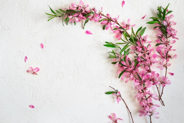 Fond de printemps blanc avec des amandes en fleurs.