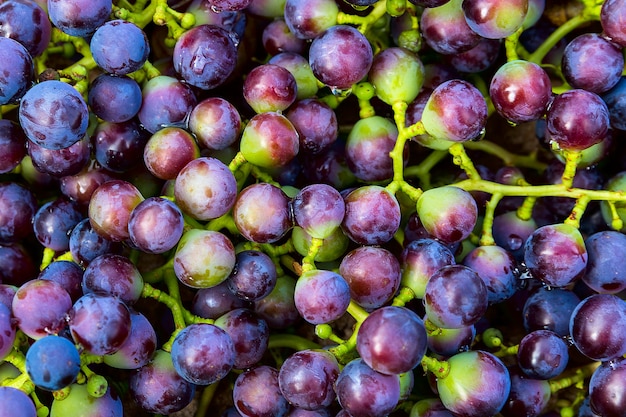 Fond de raisins bleus, raisins sombres, raisins rouges, raisins à vin.