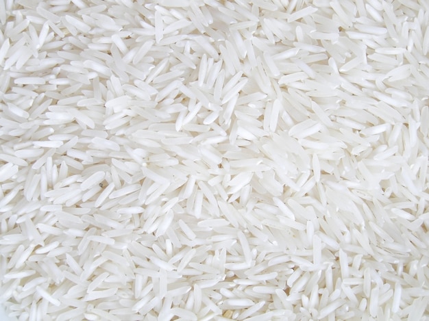 Fond de riz basmati