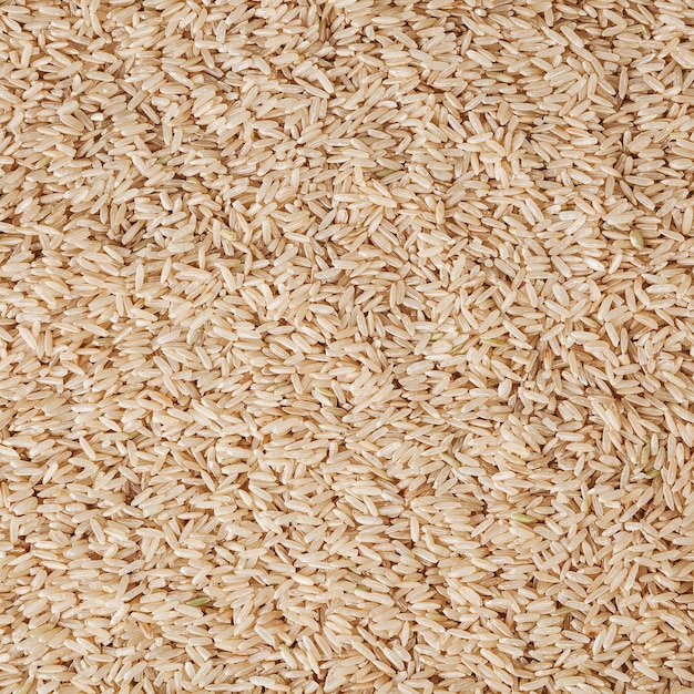 Fond de riz long grain brun séché