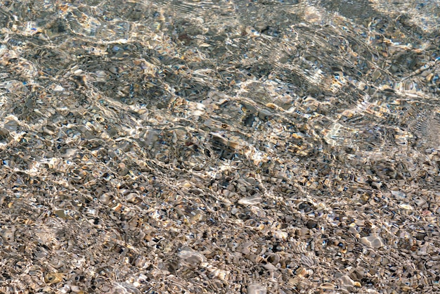 Fond rocheux sous l'eau transparente