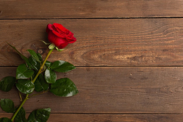 Fond romantique avec rose rouge sur la vue de dessus de table en bois Espace de copie