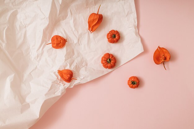 Fond rose et blanc ensoleillé d'automne avec des citrouilles, des physalis, des tomates. Récolte à plat ou concept d'halloween. Disposition créative de légumes colorés. Espace de copie.