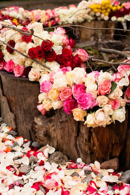 Fond de roses beiges et roses, motif pour la conception de mariage
