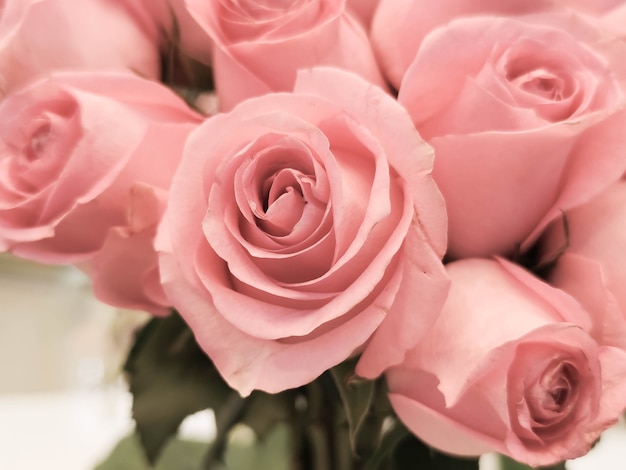Photo le fond de roses roses pour la saint valentin ou la fête des mères ou la carte postale de la fête de la femme