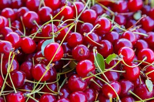 Fond rouge cerise lumineux