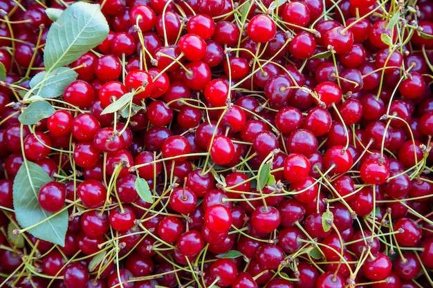 Fond rouge cerise lumineux