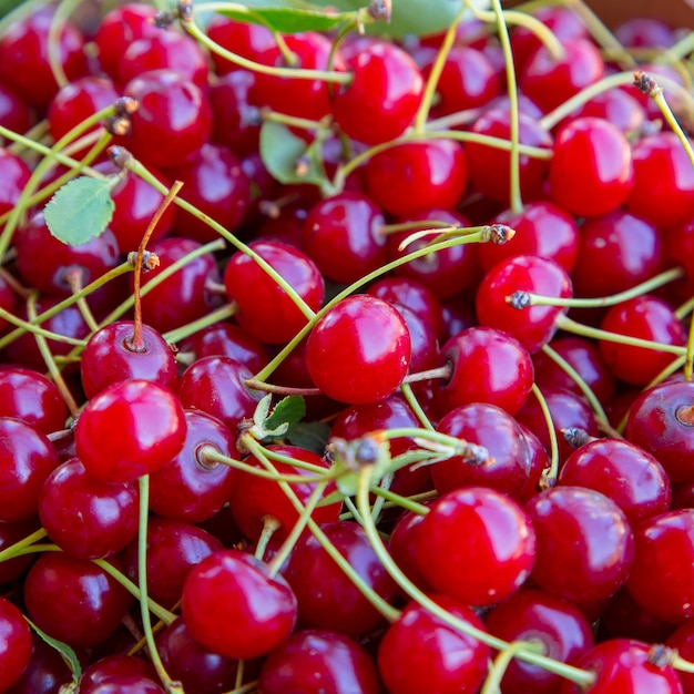 Fond rouge cerise lumineux