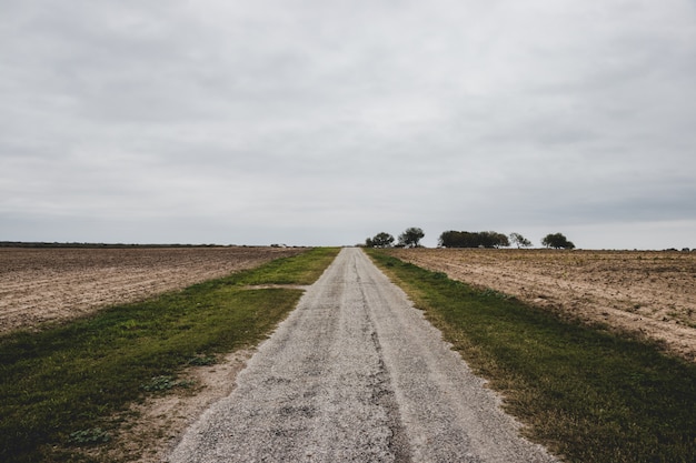 Fond de route de campagne