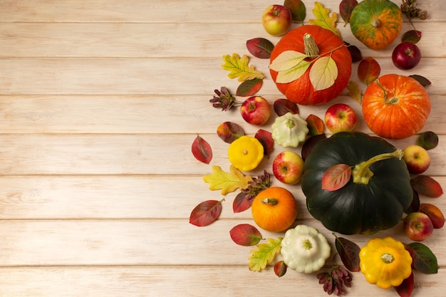 Fond rustique d'automne de Thanksgiving avec l'espace de copie de feuilles de chêne rouge et jaune citrouille verte