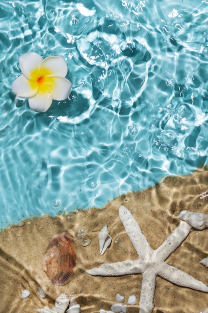 Fond de sable et de coquillages de l'eau de mer Plage d'été Fond d'été