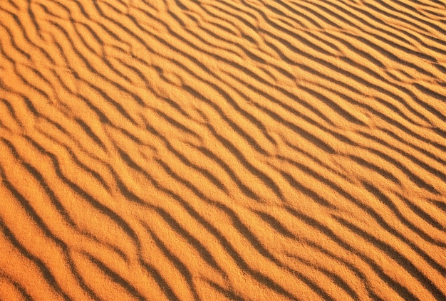 Fond de sable du désert. Désert d'or dans le coucher du soleil