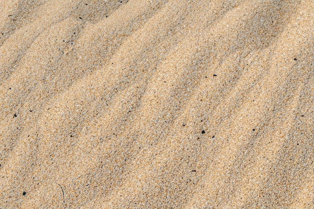 Un fond de sable enchanteur avec un motif captivant