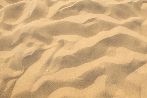 Un fond de sable enchanteur avec un motif captivant
